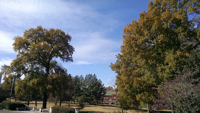A beautiful fall day in Memphis