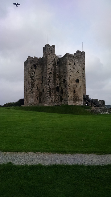 Trim Castle